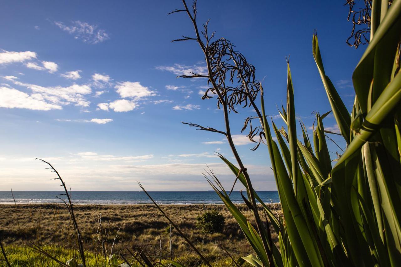Ohiwa Beach Apartments/ Motel Opotiki Exteriér fotografie